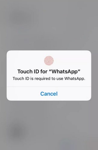 WhatsApp agora tem bloqueio de acesso por Touch ID e Face ID no iOS –  TecMundo - AMG Tecnologia